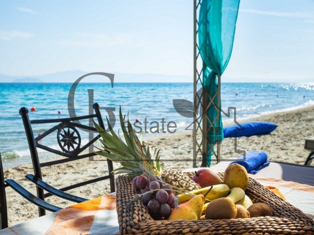 Beach front villa | ID: 1002 | Greco Paradise