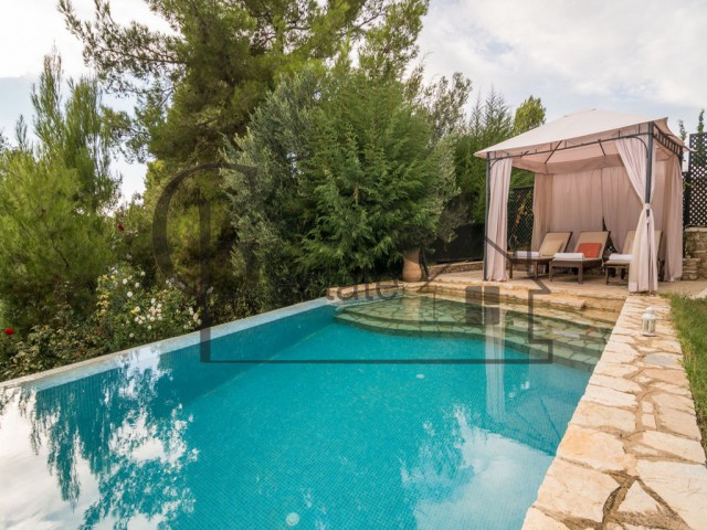 villa with pool | ID: 372 | Greco Paradise