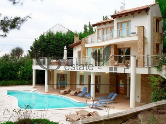 villa with pool | ID: 410 | Greco Paradise