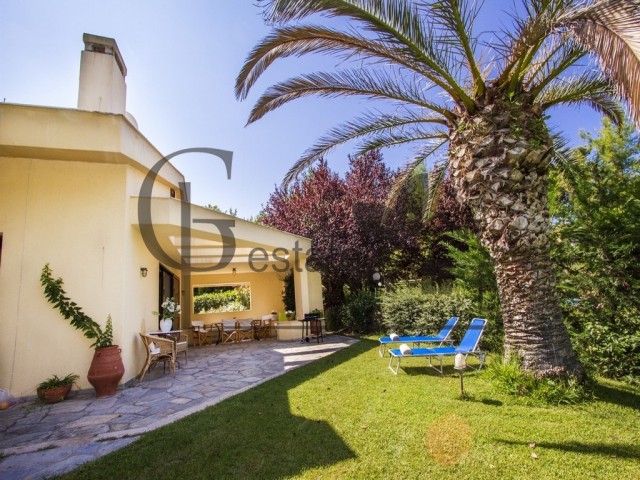 Luxury Villa in Sani | ID: 457 | Greco Paradise